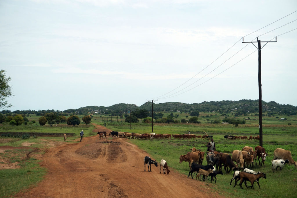 Misungwi District